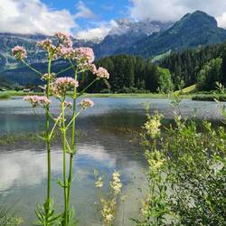 Lenkersee