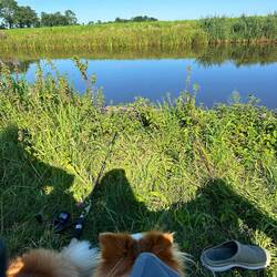 Die letzten Versuche 🎣