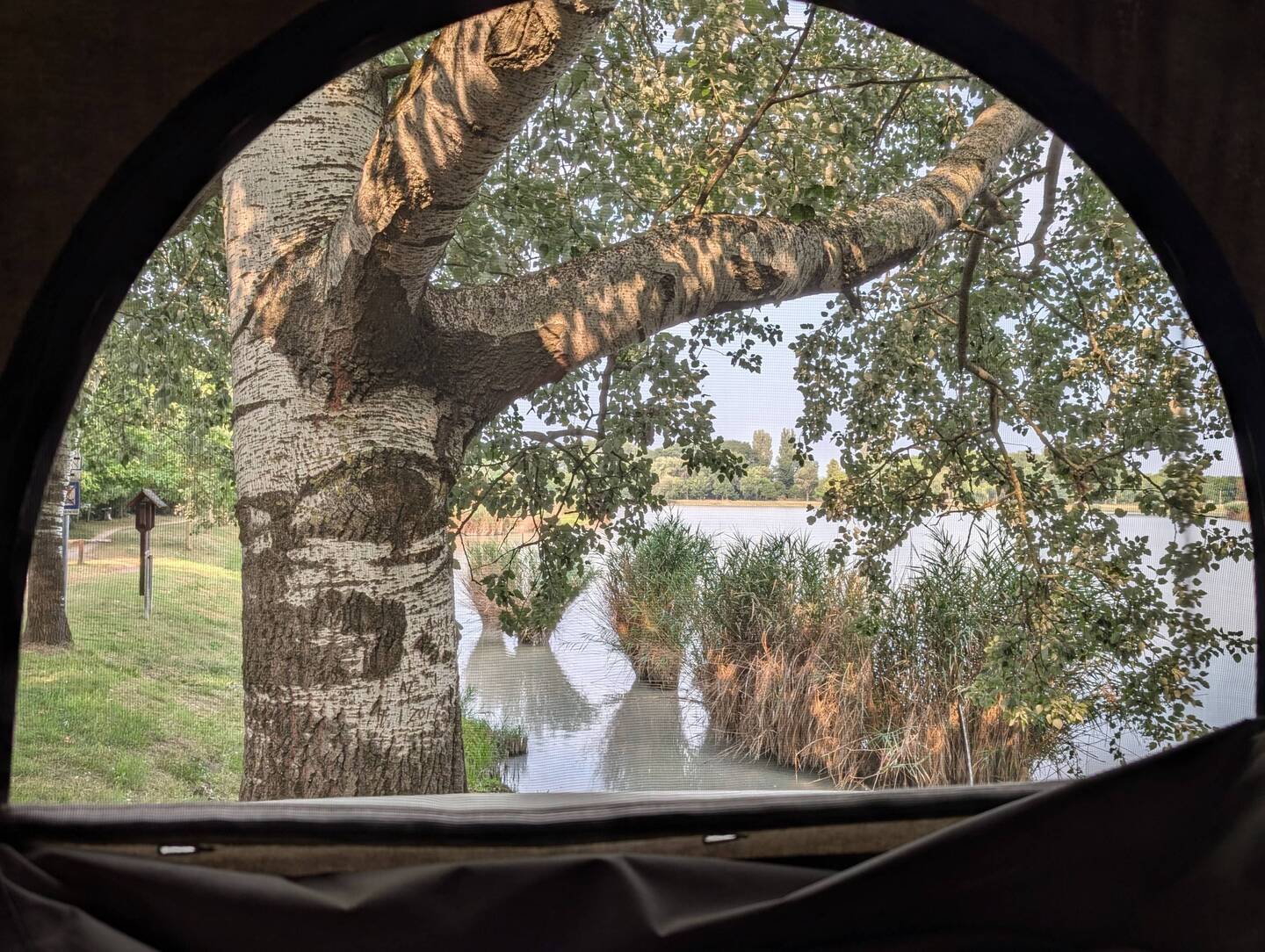 Blick auf den Sóstó See am Morgen