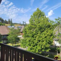 Blick vom Ost-Balkon 2
