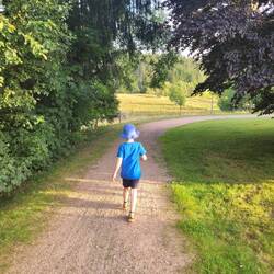 Weg zum See