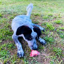 Mikosch lässt es sich auch schmecken 👅