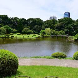Shinjuku Gyoen National Garden