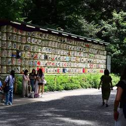 Saki Barrels - only decorative, no actual saki