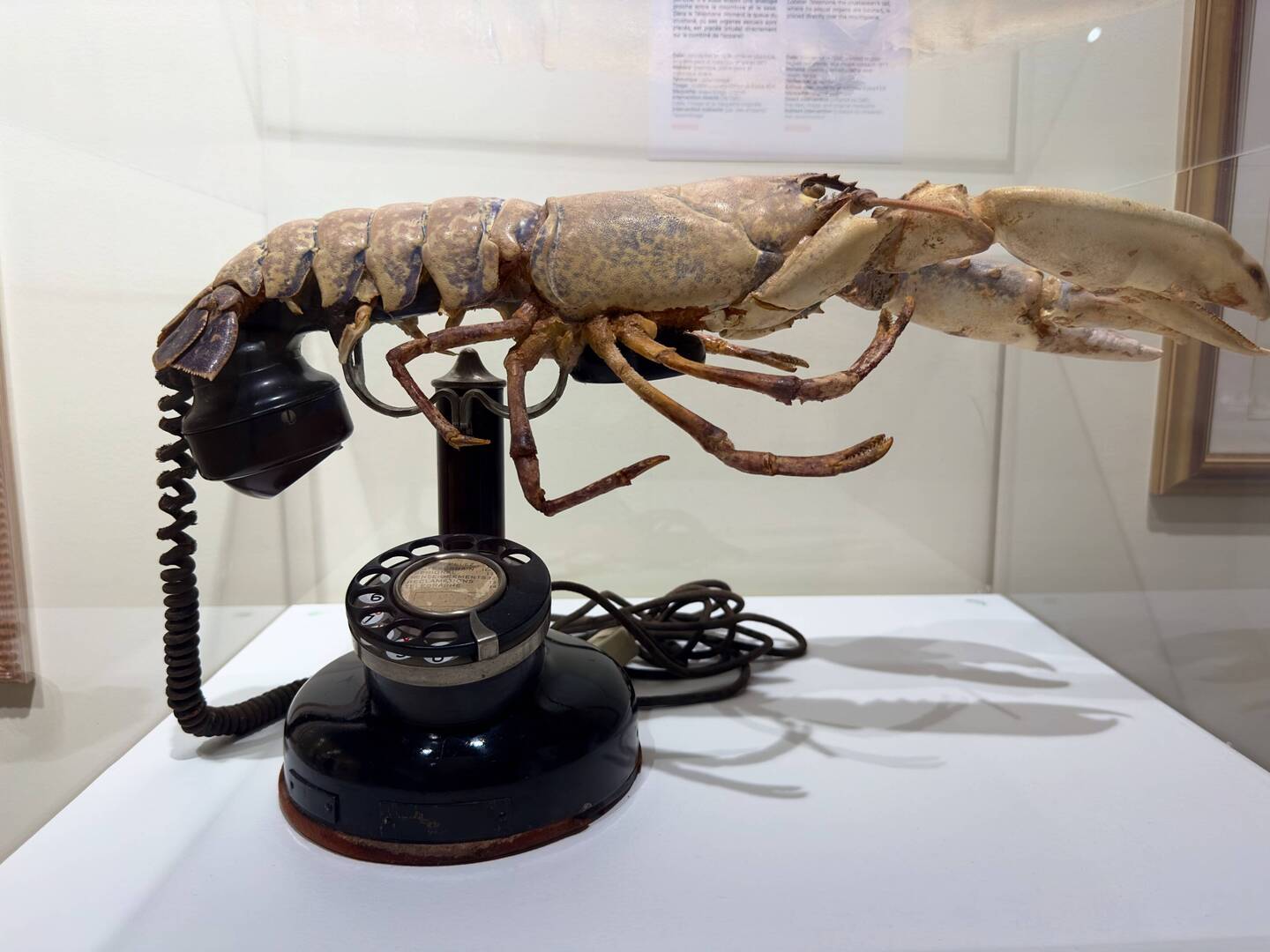 Lobster Telephone, 1977.