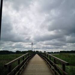 Pedestrian Bridge over Sirvenos Lake