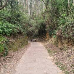 Küstenradweg kurz vor Bilbao