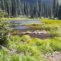 Red Meadow Lake (1)
