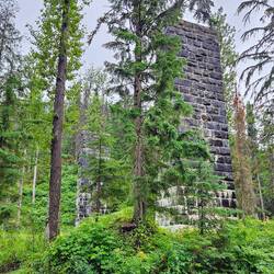 Two trestles in the forest