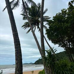 The tropical north is beautiful but cold