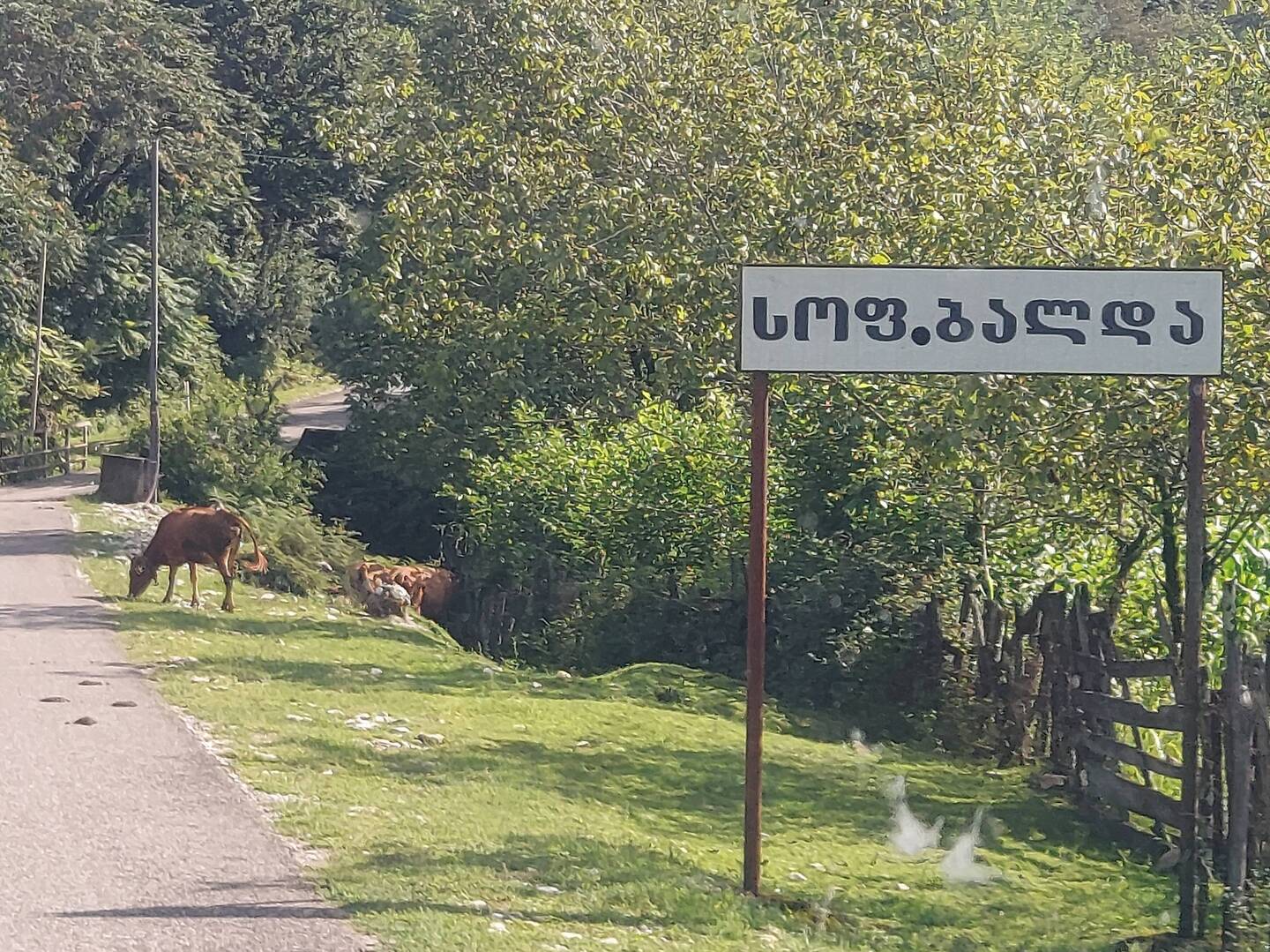 Die Umgebung ist ländlich