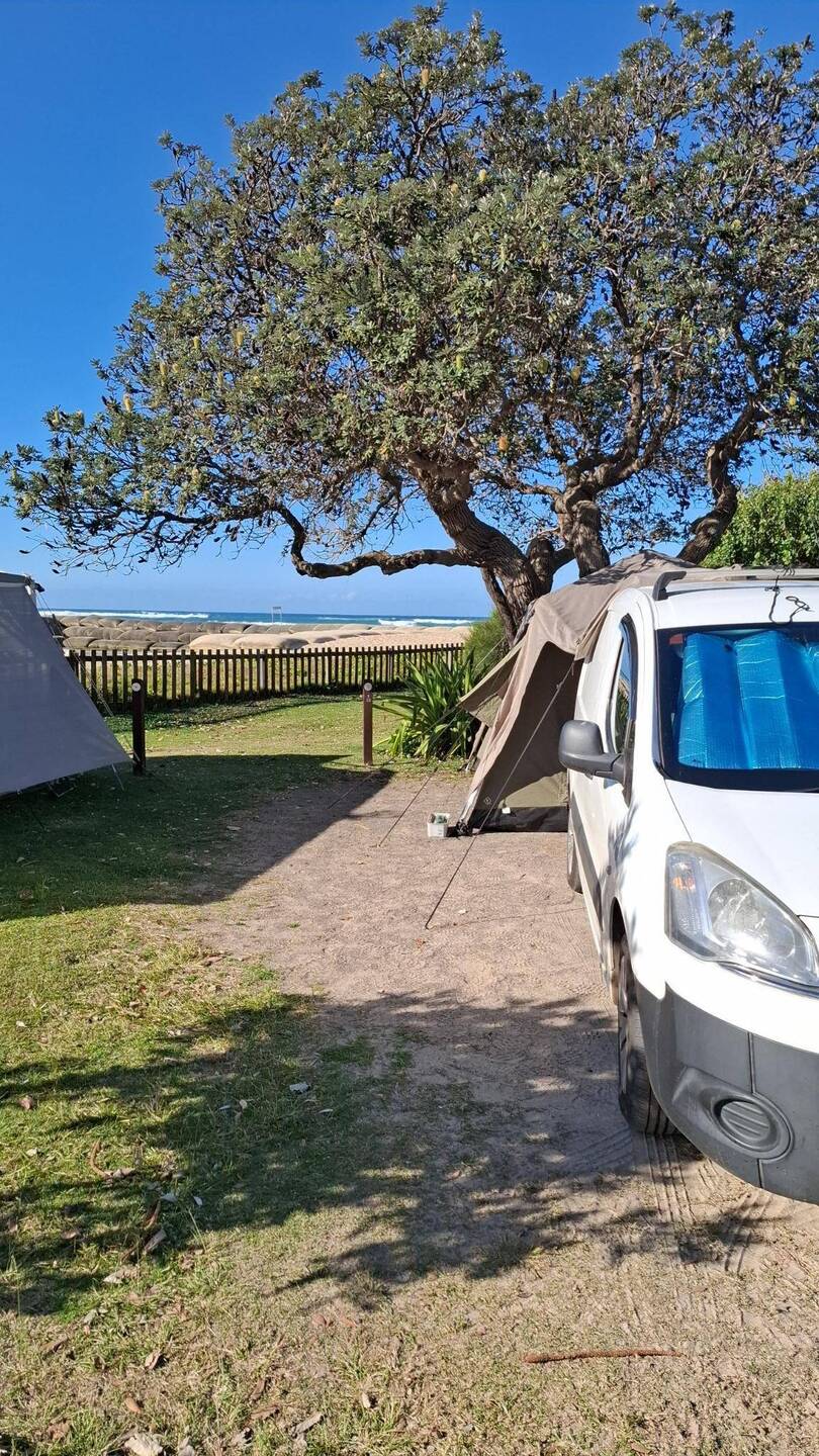 Cotton Tree campsite