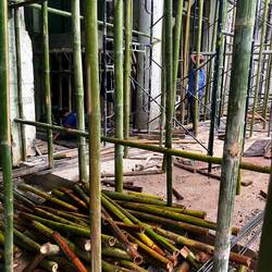 Scaffolding