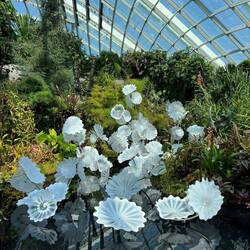 Cloudforest war schön