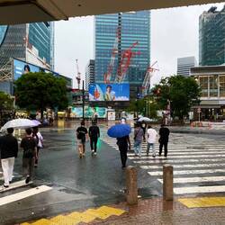 Shibuya crossing um halb 6