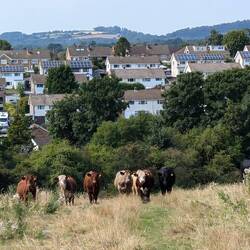 Chepstow