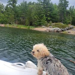 Out fishing but not catching. We remembered the net but didn't have to use it.