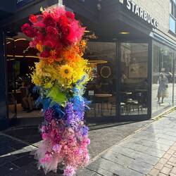 Fun capitalization on pride