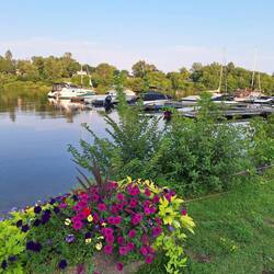 Arnprior Marina