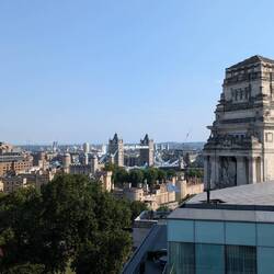 Blick vom Savage Garden unserer Rooftop-Bar