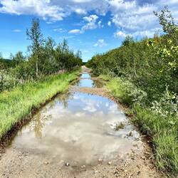 wunderschöne Wasserpfützen 😍