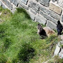 Gugg Gugg.... Wer bin ich 😜