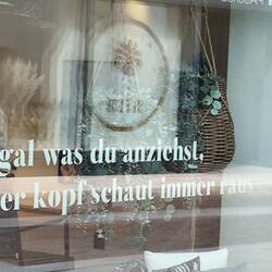 Spruch des Tages 😂