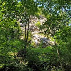 Mühlberg