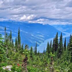 View from top of Upper Summit Trail