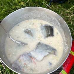 Lofoten fish soup with Karianne's catch of the day