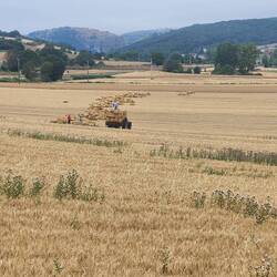 The wagon had a single lift "arm" that lifted the bales up onto the wagon
