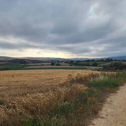 into the great beyond