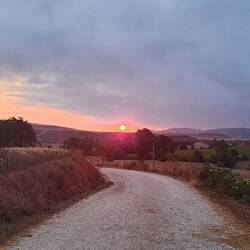 sun is waking up more now
