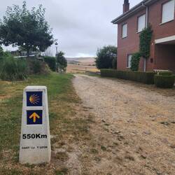 So, I've done 226.2 kms of the camino