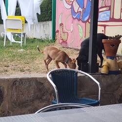 They were hungry too