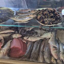Direkt in die Fischhalle & Auslage des Restaurants Sereia