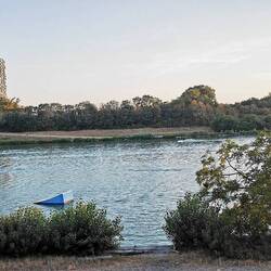 Schwimmen in der Donau