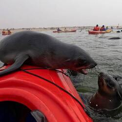 "MEINE Mitfahrgelegenheit!"