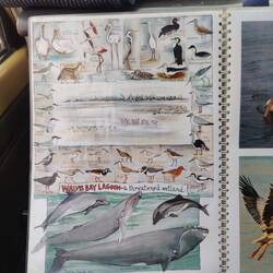 Die Tiere der Walvis Bay-Lagune