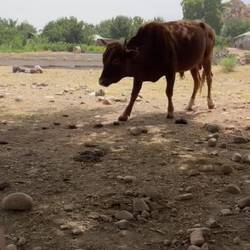 Let me do my siesta!!!