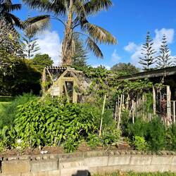 Veggie garden at Poiciana cottages
