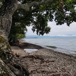 Blick über den See Richtung Lindau