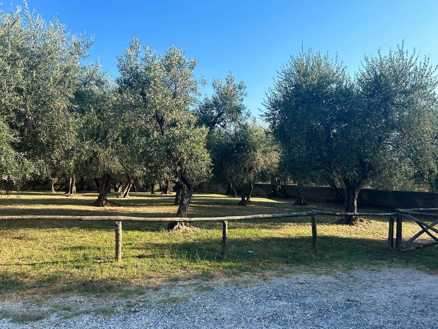 Museo di Storia Naturale dell'Università di Pisa