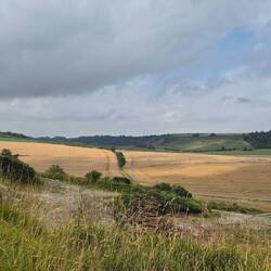 Stellplatz mit Aussicht im ehemaligen Steinbruch