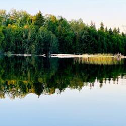 Wolf Lake