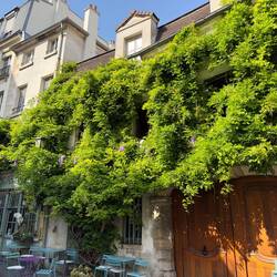 Street Scenes around Ille de la Cite.