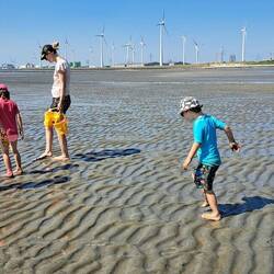 Watt Wanderung auf dem Meeresboden...