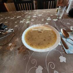 Supper: mushroom soup app.