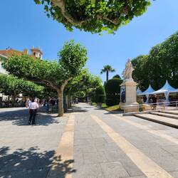 vendors to the right and beautiful trees all along the city center