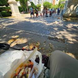 Seafood salad from the deli for lunch, sitting on the ledge by the park